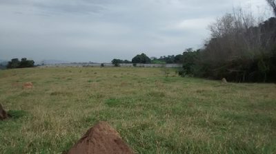 Terreno, 5 hectares - Foto 5
