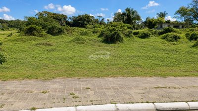 Terreno, 644 m² - Foto 3