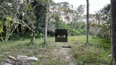 Terreno, 2 hectares - Foto 4