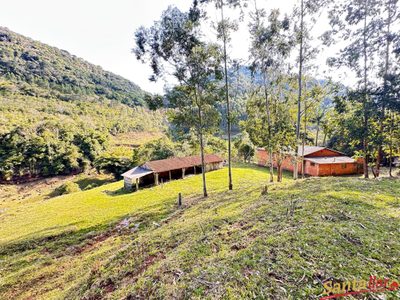 Sítio, 85 hectares - Foto 1