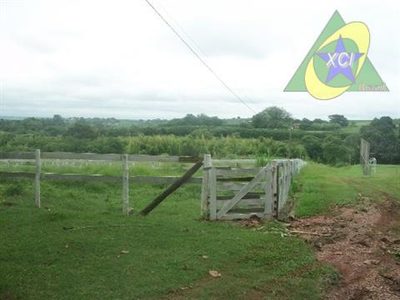 Terreno, 9 hectares - Foto 2