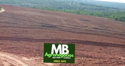 Fazenda, 400 hectares - Foto 1