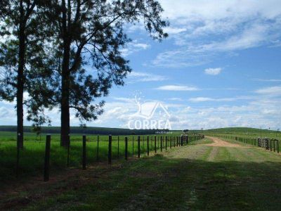 Fazenda, 4946 hectares - Foto 2