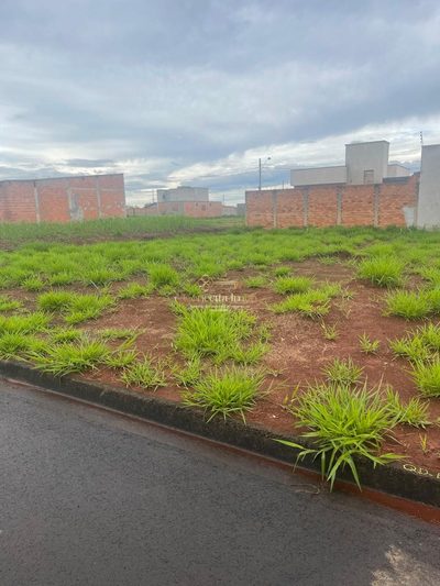 Terreno, 200 m² - Foto 3