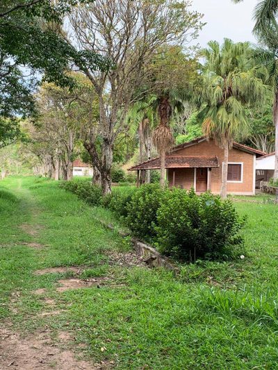 Sítio, 4 quartos, 33 m² - Foto 4