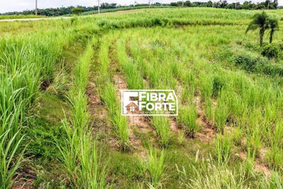 Terreno, 12 hectares - Foto 1
