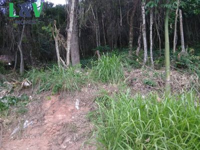 Terreno, 1000 m² - Foto 4
