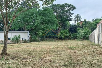 Terreno, 2000 m² - Foto 3