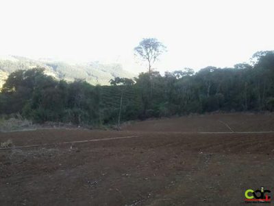 Sítio, 2 quartos, 44 m² - Foto 3