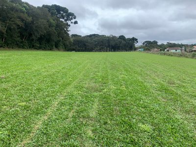 Terreno, 4 hectares - Foto 3