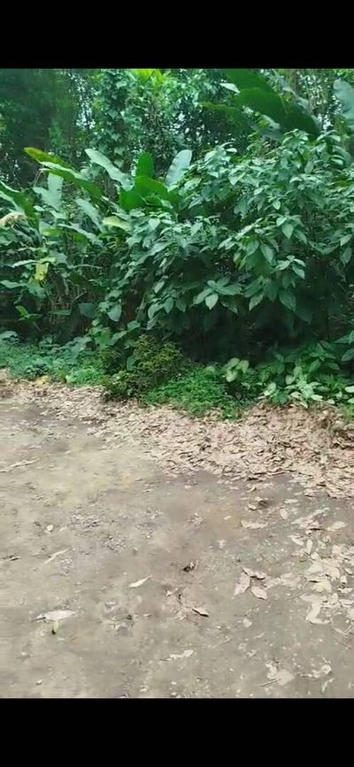 Terreno, 500 m² - Foto 1