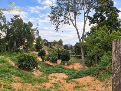Terreno, 1000 m² - Foto 3