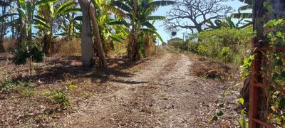 Chácara, 2 quartos, 4000 m² - Foto 5