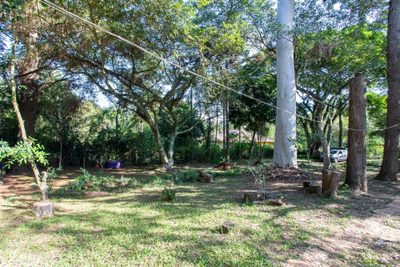 Chácara, 1 quarto, 3000 m² - Foto 3