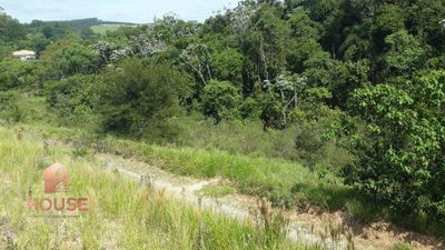 Terreno, 2 hectares - Foto 3