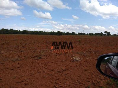 Fazenda, 242 hectares - Foto 3