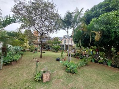 Casa, 3 quartos, 891 m² - Foto 1
