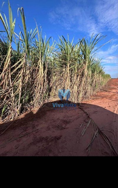 Terreno, 21 hectares - Foto 5