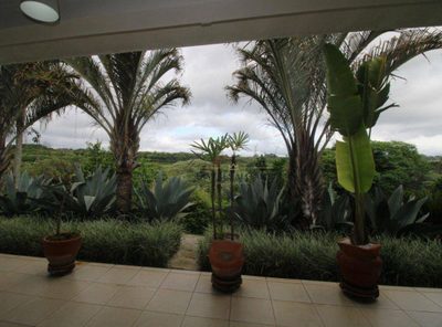 Casa, 4 quartos, 300 m² - Foto 3