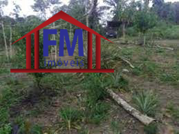 Fazenda - Foto 2