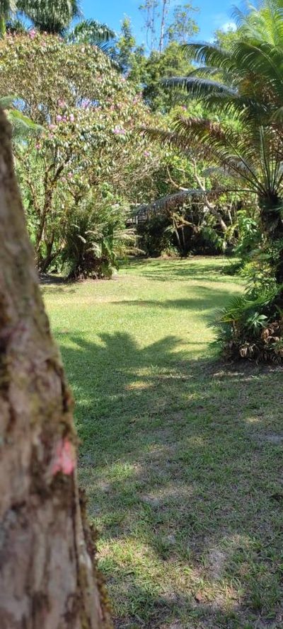 Fazenda, 2 hectares - Foto 3