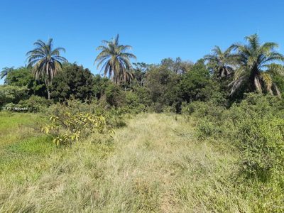 Terreno, 5000 m² - Foto 3