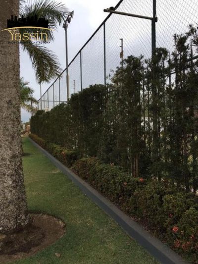 Casa, 5 quartos, 800 m² - Foto 4