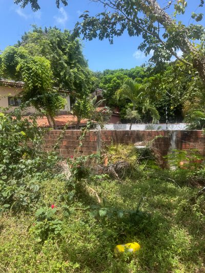Terreno, 342 m² - Foto 4