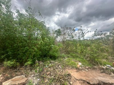 Terreno, 360 m² - Foto 4
