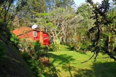 Casa, 4 quartos, 5000 m² - Foto 3