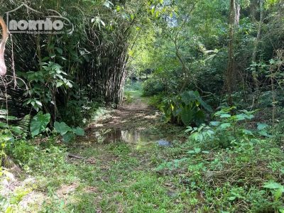 Terreno, 2 hectares - Foto 3