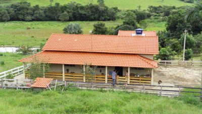 Chácara, 4 quartos, 6 hectares - Foto 3