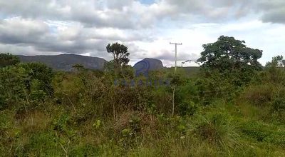 Fazenda, 309 hectares - Foto 3