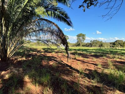 Chácara, 27 hectares - Foto 4