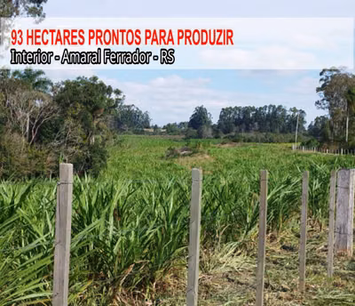 Fazenda, 93 m² - Foto 1