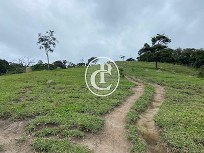 Sítio, 3 quartos, 19 hectares - Foto 4