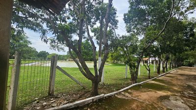 Chácara, 3 quartos, 7 hectares - Foto 3