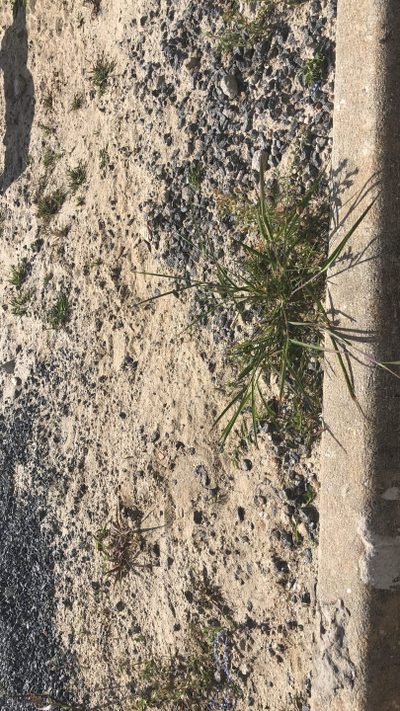 Terreno, 250 m² - Foto 4
