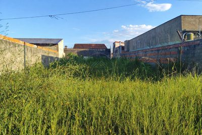Terreno, 250 m² - Foto 1