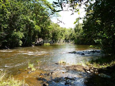 Fazenda, 183 hectares - Foto 3