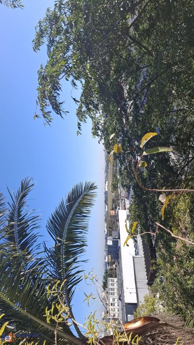 Apartamento, 1 quarto, 44 m² - Foto 3