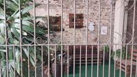 Apartamento, 2 quartos, 62 m² - Foto 3