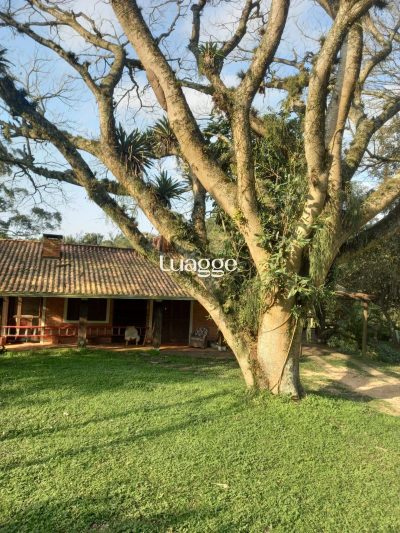 Sítio, 2 quartos, 151 m² - Foto 5