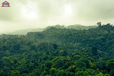 Fazenda - Foto 5