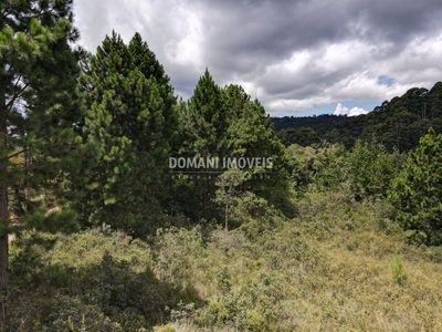 Terreno, 3030 m² - Foto 4