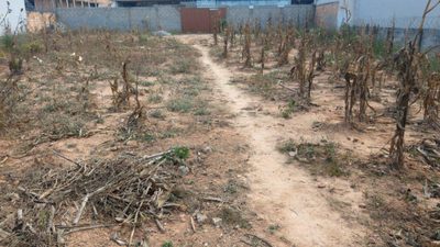 Terreno, 720 m² - Foto 1