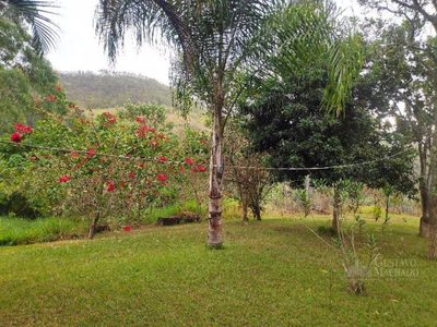 Sítio, 5 quartos, 1 hectares - Foto 3