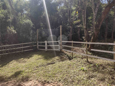 Terreno, 4 hectares - Foto 2