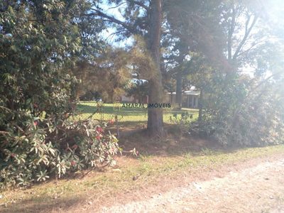 Terreno, 1 hectares - Foto 4