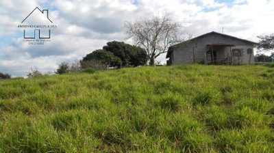 Chácara, 3 quartos, 5100 m² - Foto 4